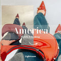 America Pro Tone - Lightroom Preset (15 Pack)