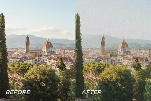 Analog Film Pro Lightroom Preset (16 Pack)