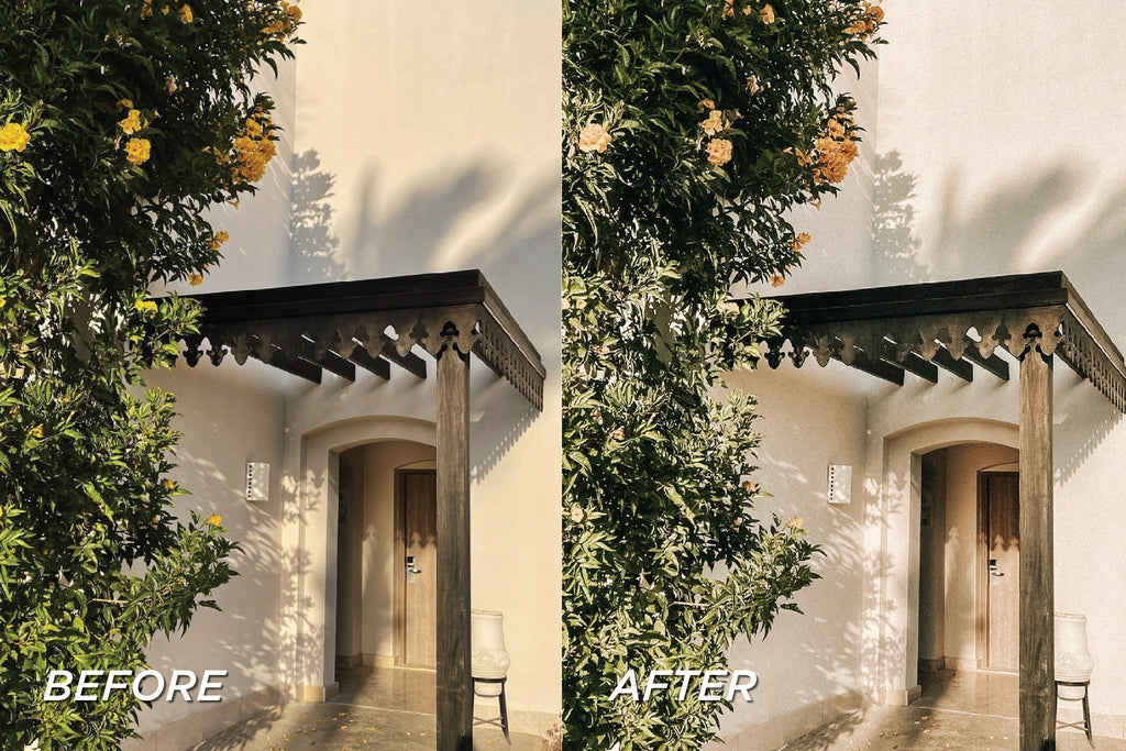 Vintage Pro - Lightroom Preset (25 Pack)